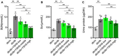 Yi-Shen-Hua-Shi granules inhibit diabetic nephropathy by ameliorating podocyte injury induced by macrophage-derived exosomes